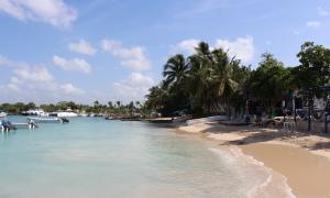 Где лучшие споты для снорклинга в Доминикане?