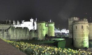 Лондонский замок Тауэр - английская крепость, Белая башня, вороны
