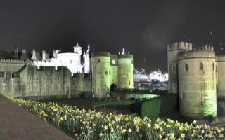Лондонский замок Тауэр - английская крепость, Белая башня, вороны